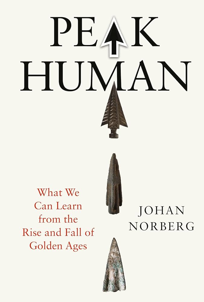 欲望殺界 (光風社ノベルス) Fukushuu Kansuisha no Jinsei Nishuume Isekaitan | Isekai